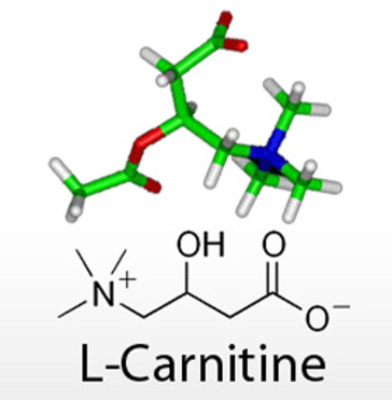  формула l-карнитин